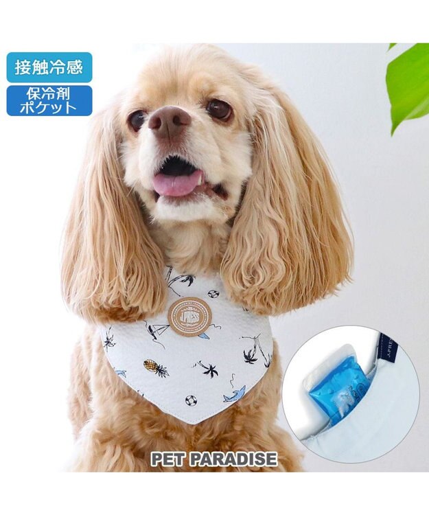 PET PARADISE J.PRESS リップル クールバンダナ 中型犬 白～オフホワイト