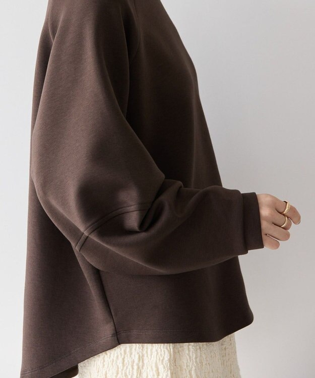 AMERICAN HOLIC 袖ボリュームポンチプルオーバー Brown