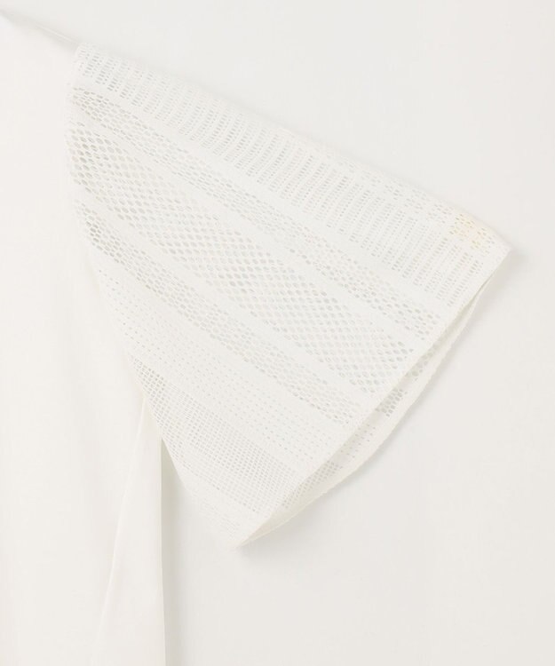 自由区 【洗える】レースエッジフレアスリーブ トップス オフ