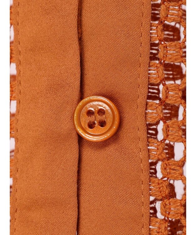 Green Parks レースブラウス Brown