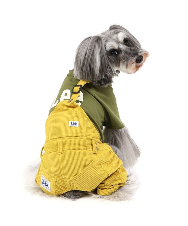 PET PARADISE Lee ワンショルダーパンツつなぎ  小型犬 グリーン