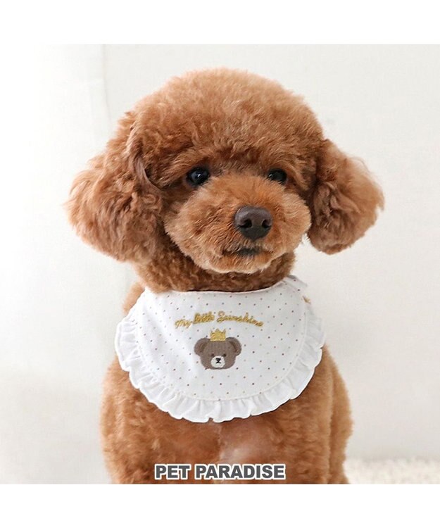 PET PARADISE ペットパラダイス くまちゃんスタイ 《王冠 》 小型犬 王冠