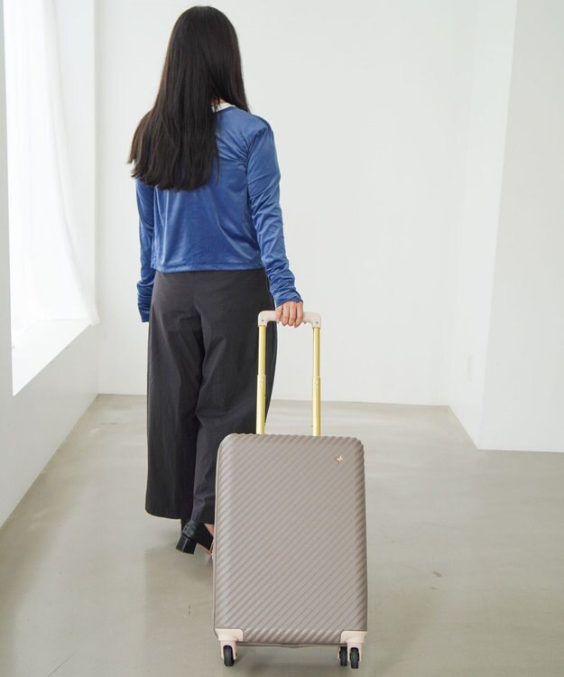 ACE BAGS & LUGGAGE 【雑誌掲載】 HaNT×Jewelna Rose コラボ スーツケース 機内持ち込み 06821 ハント ジュエルナローズ モカカプチーノ