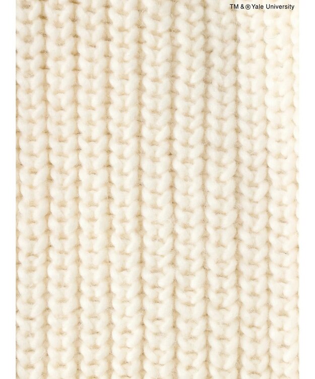 AMERICAN HOLIC ＴＭ＆Ｒ　ＹａｌｅＵｎｉｖｅｒｓｉｔｙニットカーディガン Ivory