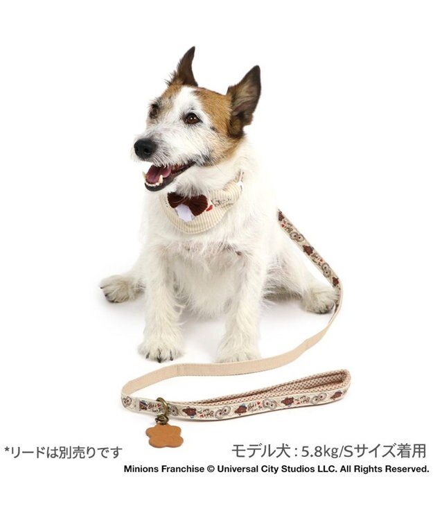 PET PARADISE ミニオン ティム アーガイル 首輪 超小型犬 ３Ｓ ティム