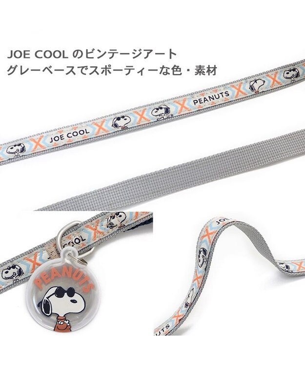 PET PARADISE 犬 スヌーピージョークール 反射 お揃いリード  【ＳＳ~Ｓ】 青