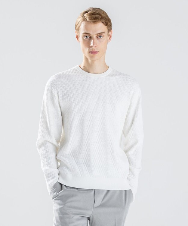 JOSEPH HOMME 【新柄】 ヴィスコースリンクス　クルーネックニット ホワイト系