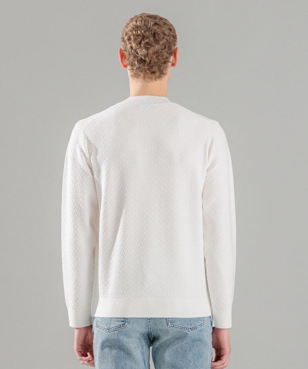 JOSEPH HOMME 新型【洗える】ヴィスコースリンクス　モックネックニット ホワイト系