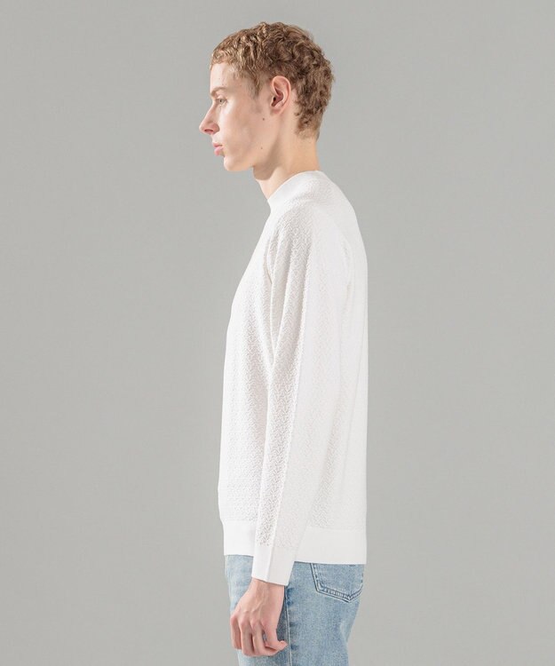 JOSEPH HOMME 新型【洗える】ヴィスコースリンクス　モックネックニット ホワイト系