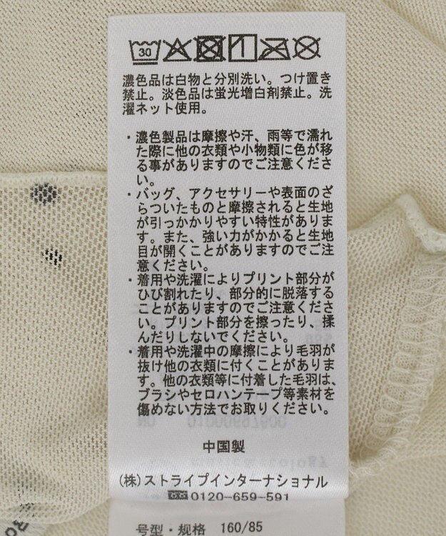 earth music&ecology フロッキードットメロープルオーバー Light Beige