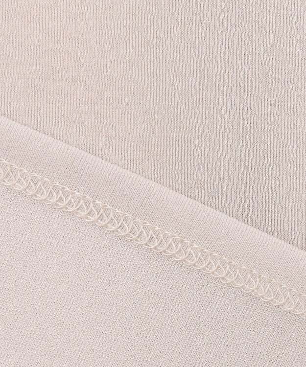 J.PRESS LADIES L 【WEB限定】シアーレイヤード ツイン カットソー 【WEB限定】グレージュ系