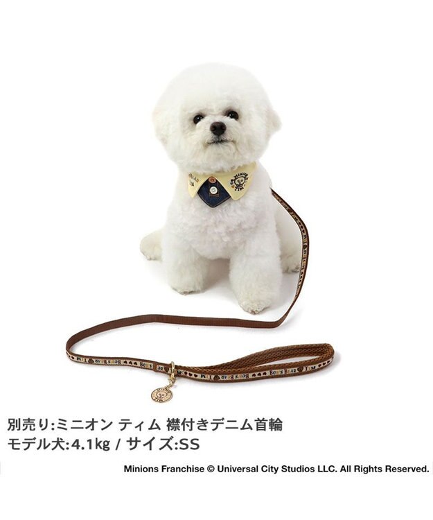 PET PARADISE ミニオン ティム リード 【ＳＳ~Ｓ】 レトロ柄 小型犬 茶系