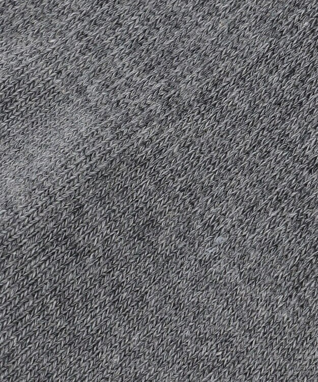 23区GOLF 【MEN】バックロゴレギュラーソックス　１８ｃｍ ライトグレー系