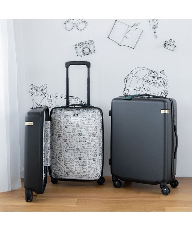 ACE BAGS & LUGGAGE HAyU × ace.  パキラ スーツケース 48L 05782 エース ブラック