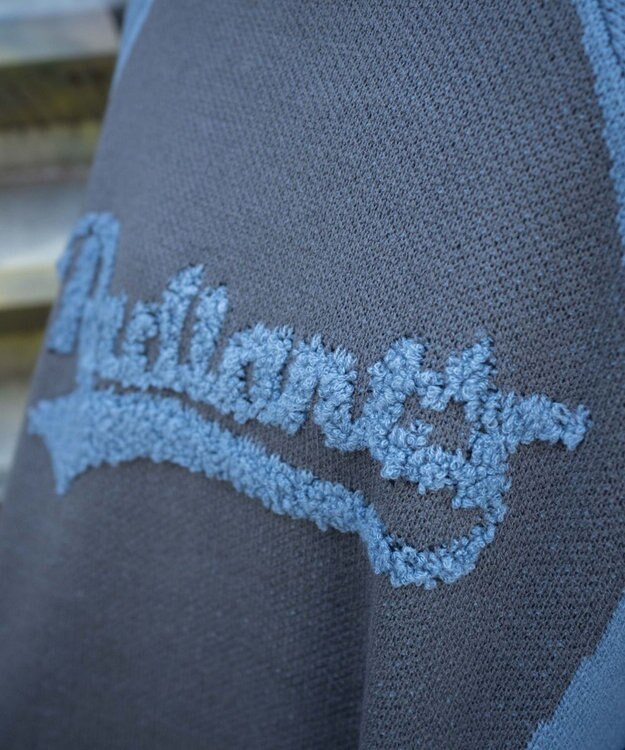 WEGO サガラロゴ配色BIGニットプルオーバー サックス