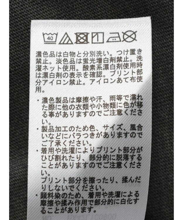 AMERICAN HOLIC フロッキーＰｔフェード加工Ｔ／Ｄｕｍｂｏ Charcoal Gray