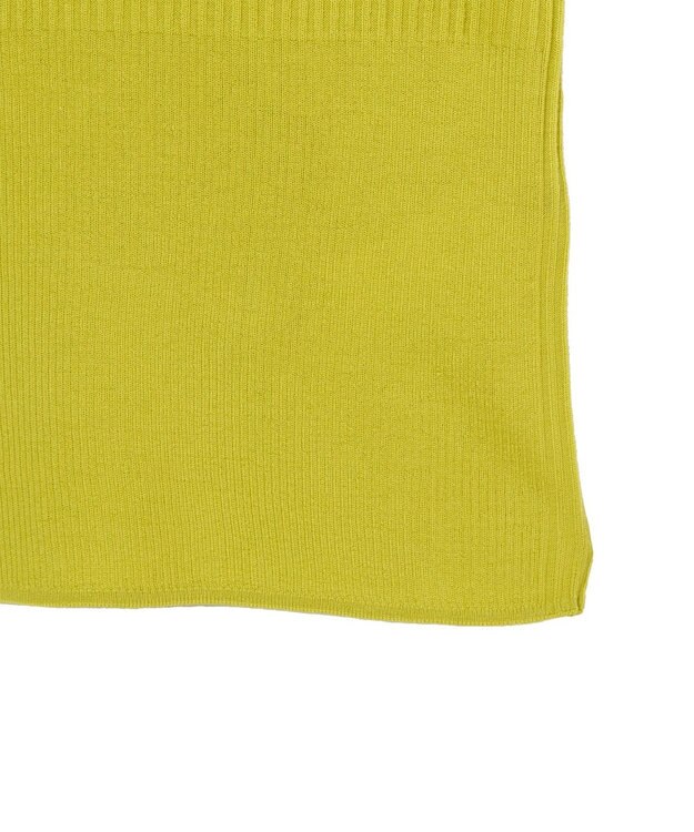 JOSEPH 【洗える】メリノリブ　ニットTEE Ginkgo