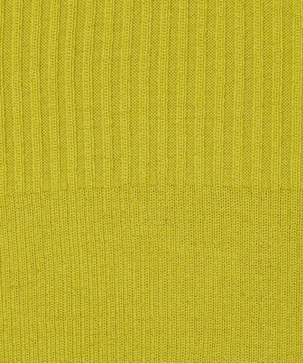 JOSEPH 【洗える】メリノリブ　ニットTEE Ginkgo