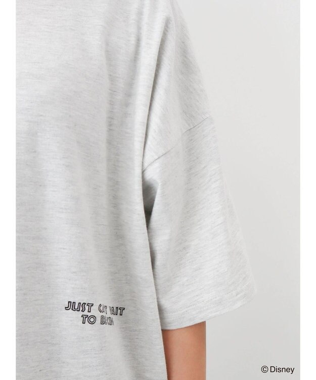 Green Parks ライオン・キング／バックプリントＴｅｅ C