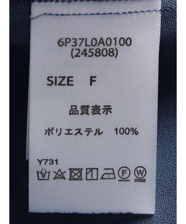 Green Parks ・ＥＬＥＮＣＡＲＥ　ＤＵＥ　バックプリーツブラウス Blue