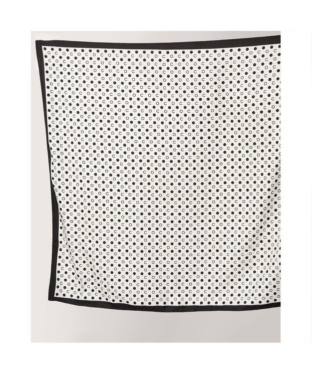 UNBILLION カシュネ cachenez / WEB限定アソート大判スカーフ ジェイ