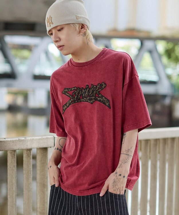 WEGO 【ユニセックス着用ITEM//MLサイズ展開】接触冷感グラフィックBIG　T（SS） レッドその他