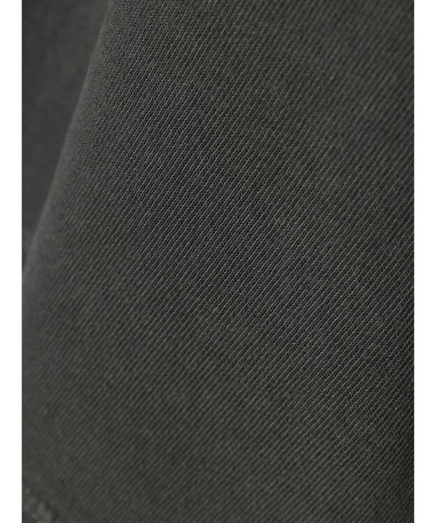 AMERICAN HOLIC フロッキーＰｔフェード加工Ｔ／Ｄｕｍｂｏ Charcoal Gray