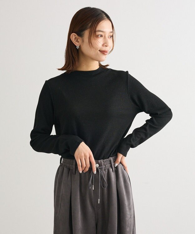 Green Parks ｉｎ　ラメリブハイネックプルオーバー Black