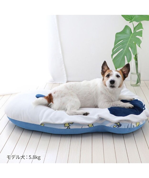 PET PARADISE スヌーピー フェイスクールマット -