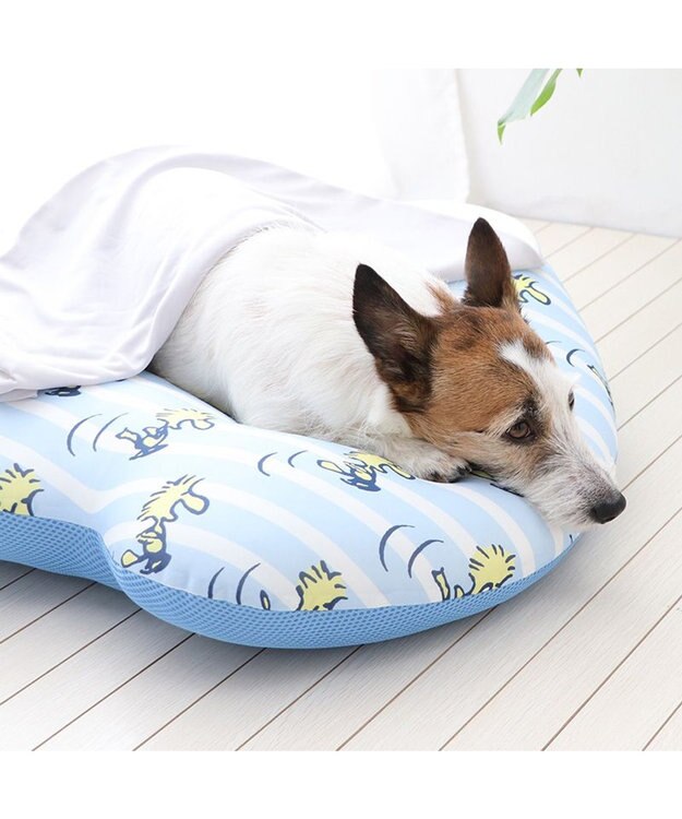 PET PARADISE スヌーピー フェイスクールマット -