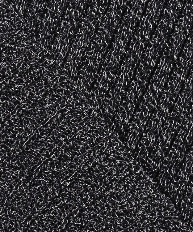 ANY SIS 【洗える】ラメシアーリブ ニット ブラック