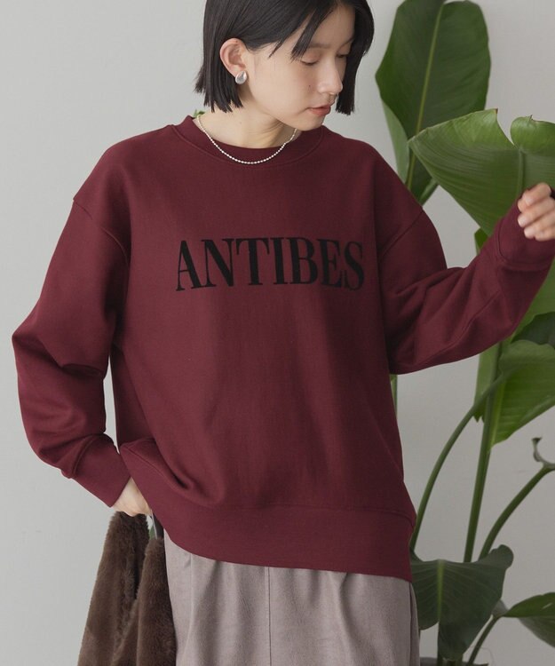 AMERICAN HOLIC Fairfield フロッキースウェットプルオーバー Bordeaux