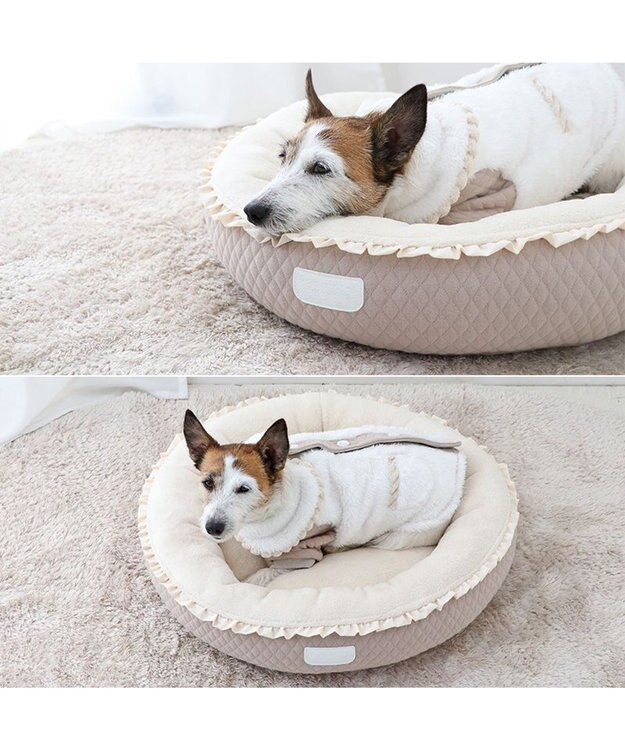 PET PARADISE ペットパラダイス ボアジャケット 襟付き 小型犬 -