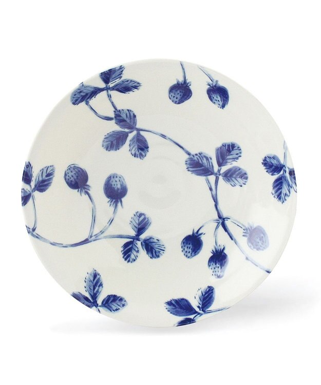 aito製作所 ボタニカル　パスタ皿　ストロベリー ストロベリー_288142