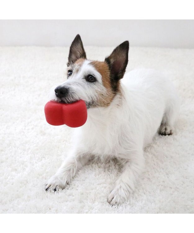 PET PARADISE スヌーピー ハート ラテックス トイ レッド