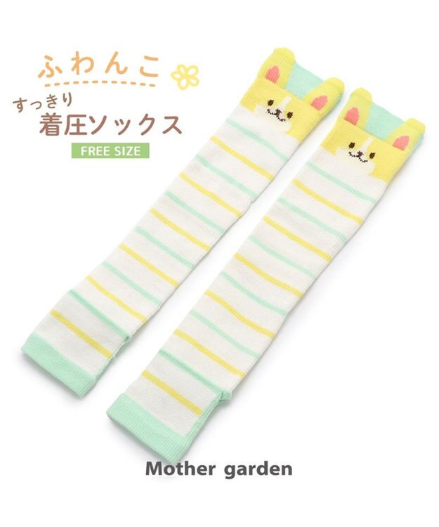 Mother garden マザーガーデン ふわんこ コーギー ひざ下 着圧靴下 レディースフリーサイズ -
