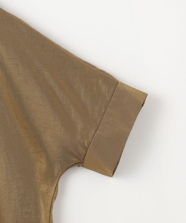 自由区 【洗える】ブライトシアーシャンブレー Tブラウス ブロンズ