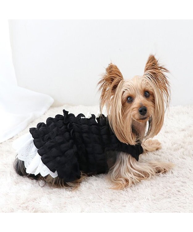 PET PARADISE ペットパラダイス ぽこぽこ ワンピース 《ブラック》 小型犬 ブラック