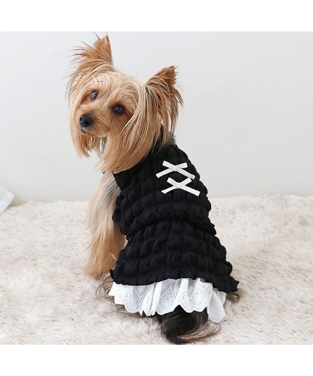 PET PARADISE ペットパラダイス ぽこぽこ ワンピース 《ブラック》 小型犬 ブラック
