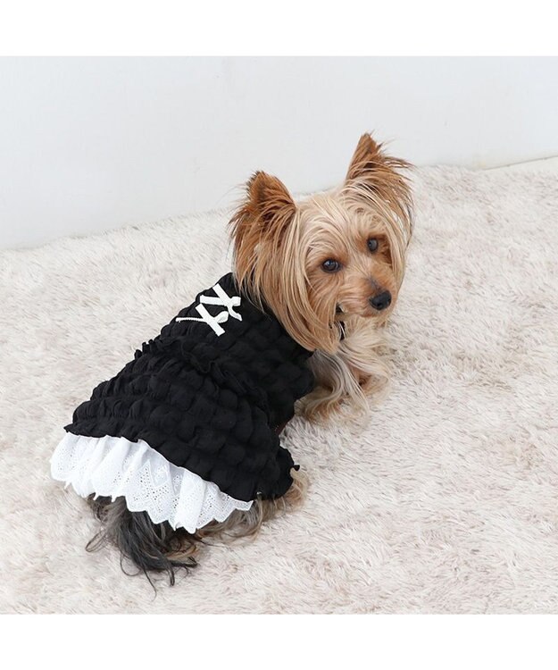 PET PARADISE ペットパラダイス ぽこぽこ ワンピース 《ブラック》 小型犬 ブラック
