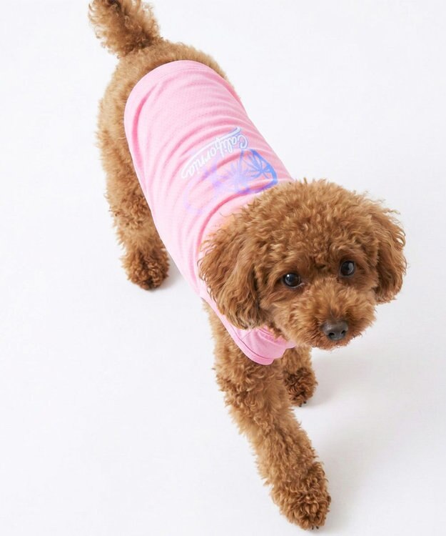 OP／FILA 【Ocean Pacific】グラデーションドッグウェア ペットウェア ピンク