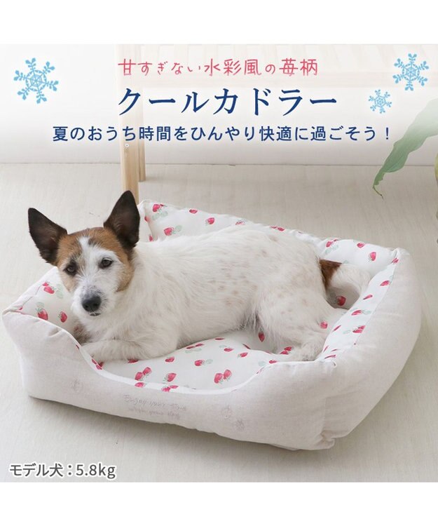 PET PARADISE ペットパラダイス 苺柄 接触冷感 クールカドラーベッド（57×45cm） -