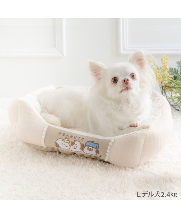 PET PARADISE スヌーピー カドラー Ｓ 《のほほん柄》　 ライトベージュ