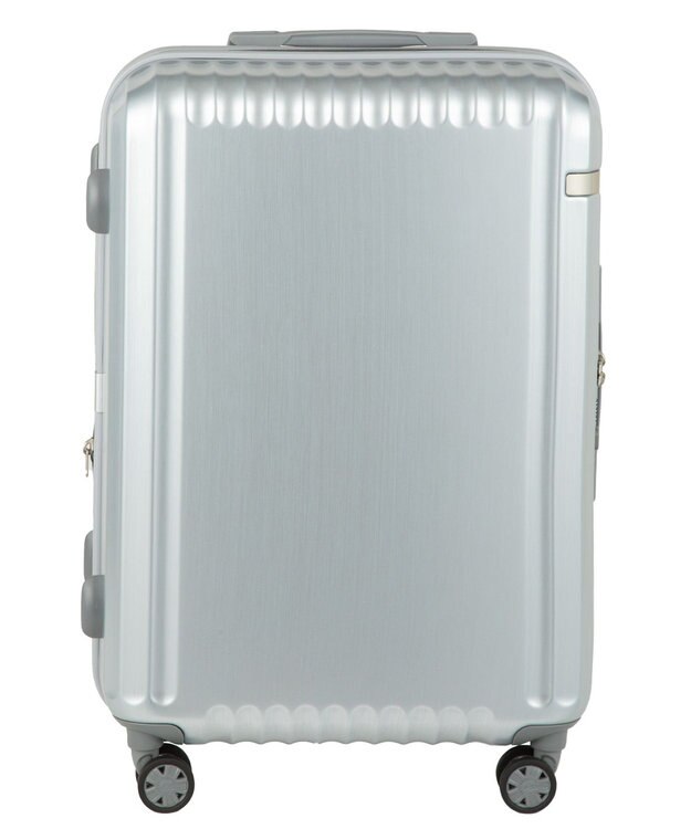 ACE BAGS & LUGGAGE ace. パリセイドZd Mサイズ 59～70L 06818 エース ヘアラインシルバー