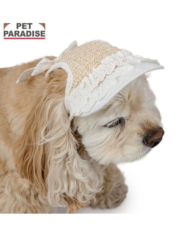 PET PARADISE ペットパラダイス フリル キャップ ＳＭ～Ｍ/Ｌ ホワイト×ベージュ