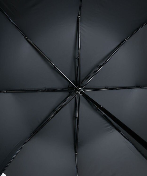 AURORA 【WEB・直営店限定】 グログラン晴雨兼用傘（折りたたみ・トップフラット） サックス