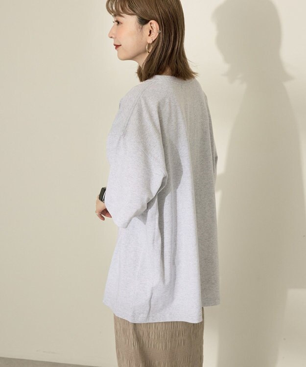 AMERICAN HOLIC FARM PARKプリントTシャツ Gray Mixture