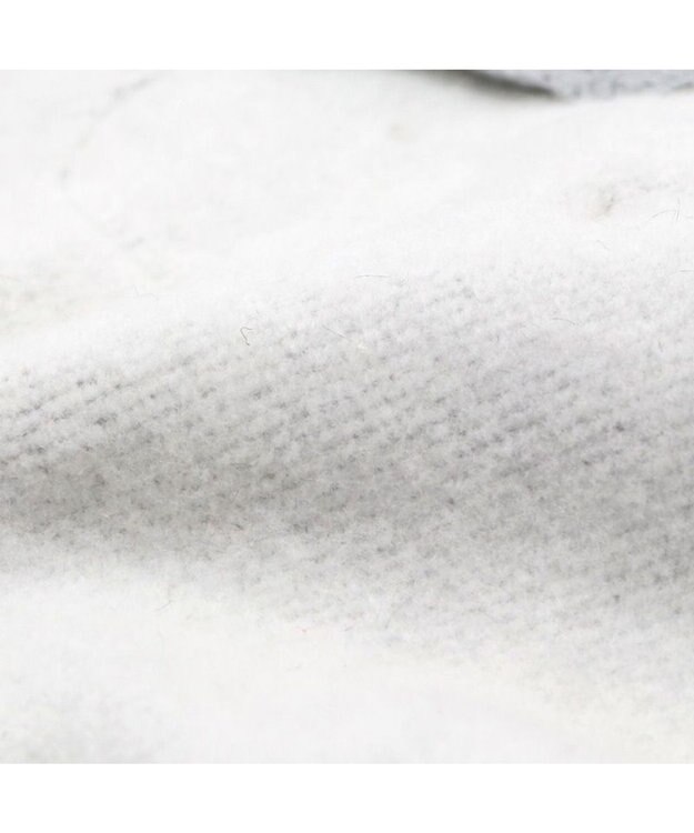 PET PARADISE スヌーピー ビッグラブ トレーナー  中型犬 グレー