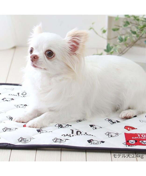PET PARADISE ディズニー 101匹わんちゃん クール マット 小型犬 48×40㎝ ホワイト