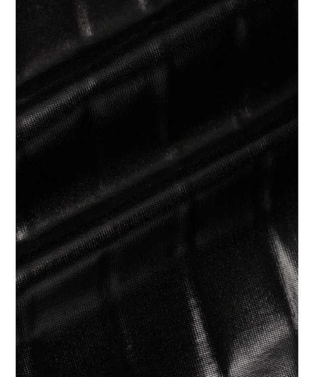 Green Parks ・ＥＬＥＮＣＡＲＥ　ＤＵＥ　メタリックプリーツスカート Black